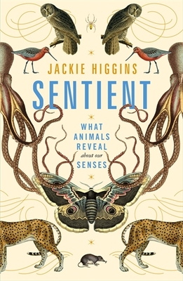 Sentient: What Animals Reveal About Our Senses 9781529030785 Jackie Higgins